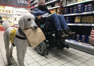 IMG_0373-e1645572290926