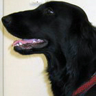 Kristin-Erkers-MAGGIE