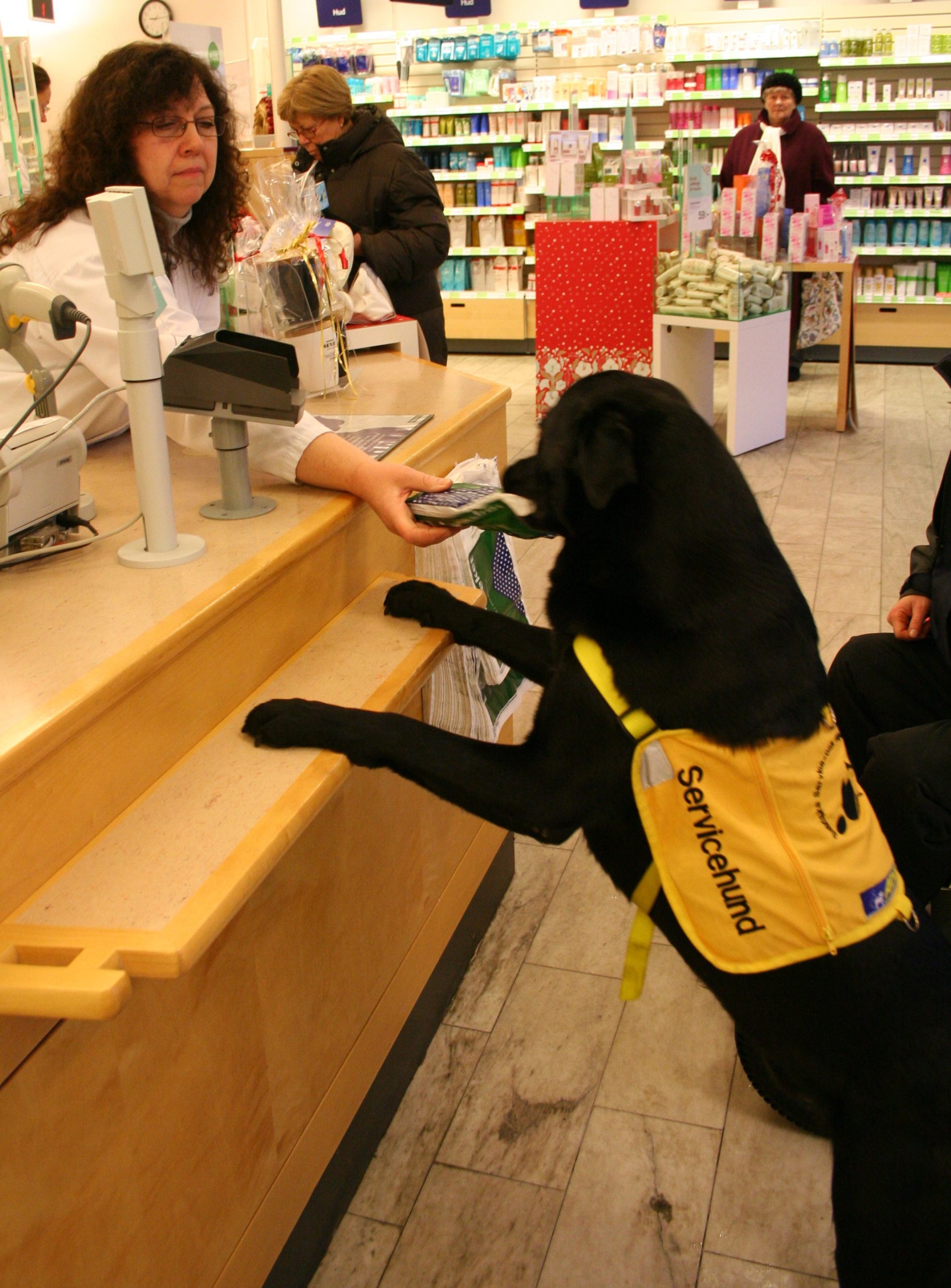 servicehund_apotek2-e1443819288724