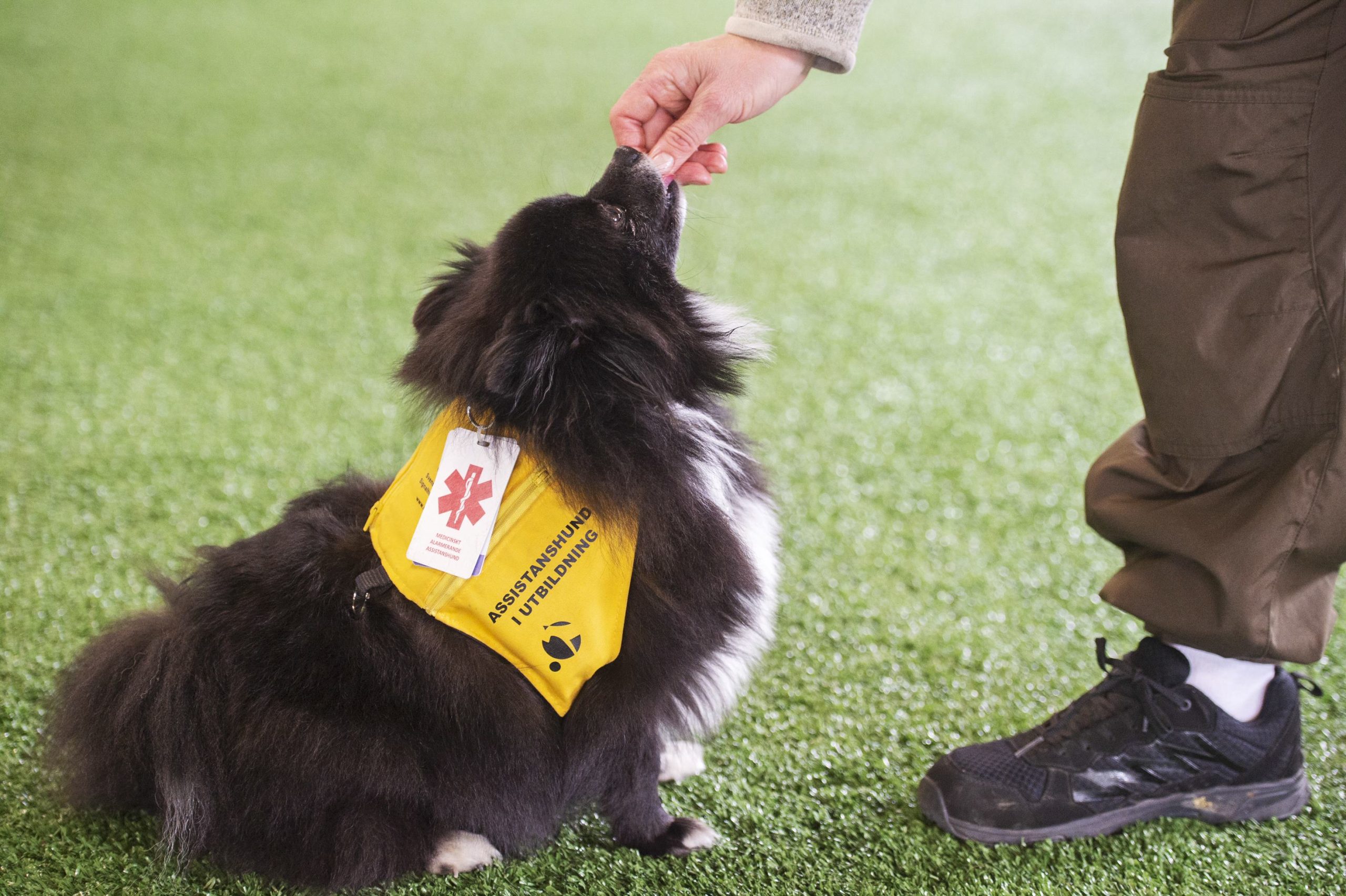 bild på tjänstetäcke