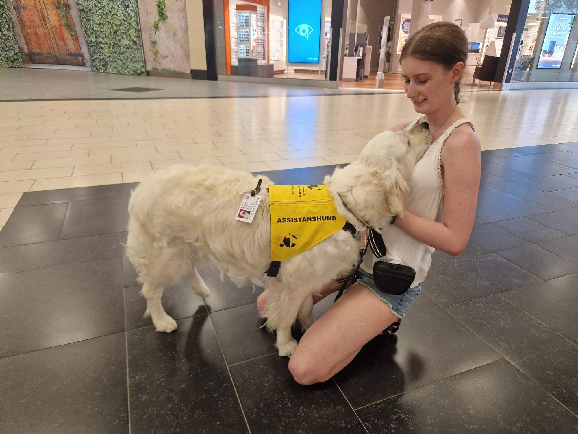 0af5fcbf-31ea-45f0-ba64-93ad01715f31