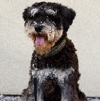 Eva-Christianssons-Raffe