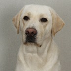 Eva-Karlssons-Sindra1