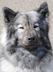 alexandra_anderberg_molly02_besk_100ppi