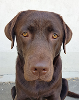 camilla_alevad_lycka_06_liten_100ppi-1