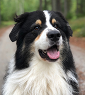 elin_dahlin_uno02_100ppi_liten