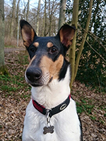 hedda_345672854_liten_100ppi-1