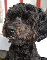 jeanette_konrad_eddie02_besk_100ppi