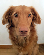 maria_nilsson_bella_100ppi-1