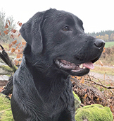 tikko_IMG_2263_100ppi_liten-1