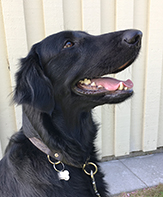 xana_de_silva_jack02_just_liten_100dpi